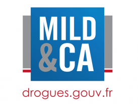 GUIDE PRATIQUE - La prévention des conduites addictives et à risques dans le Val-d'Oise