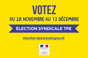 Election syndicale dans les TPE du 30 décembre 2016 au 13 janvier 2017